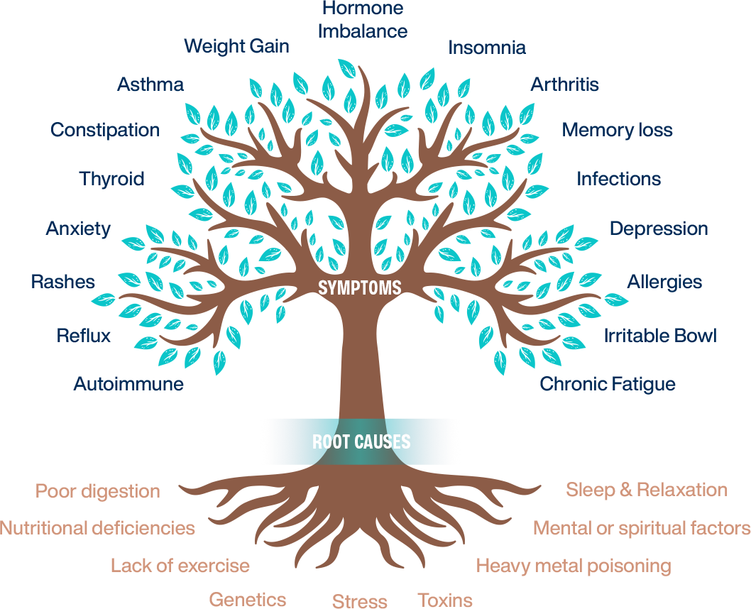 Functional medicine doctor Panama City FL